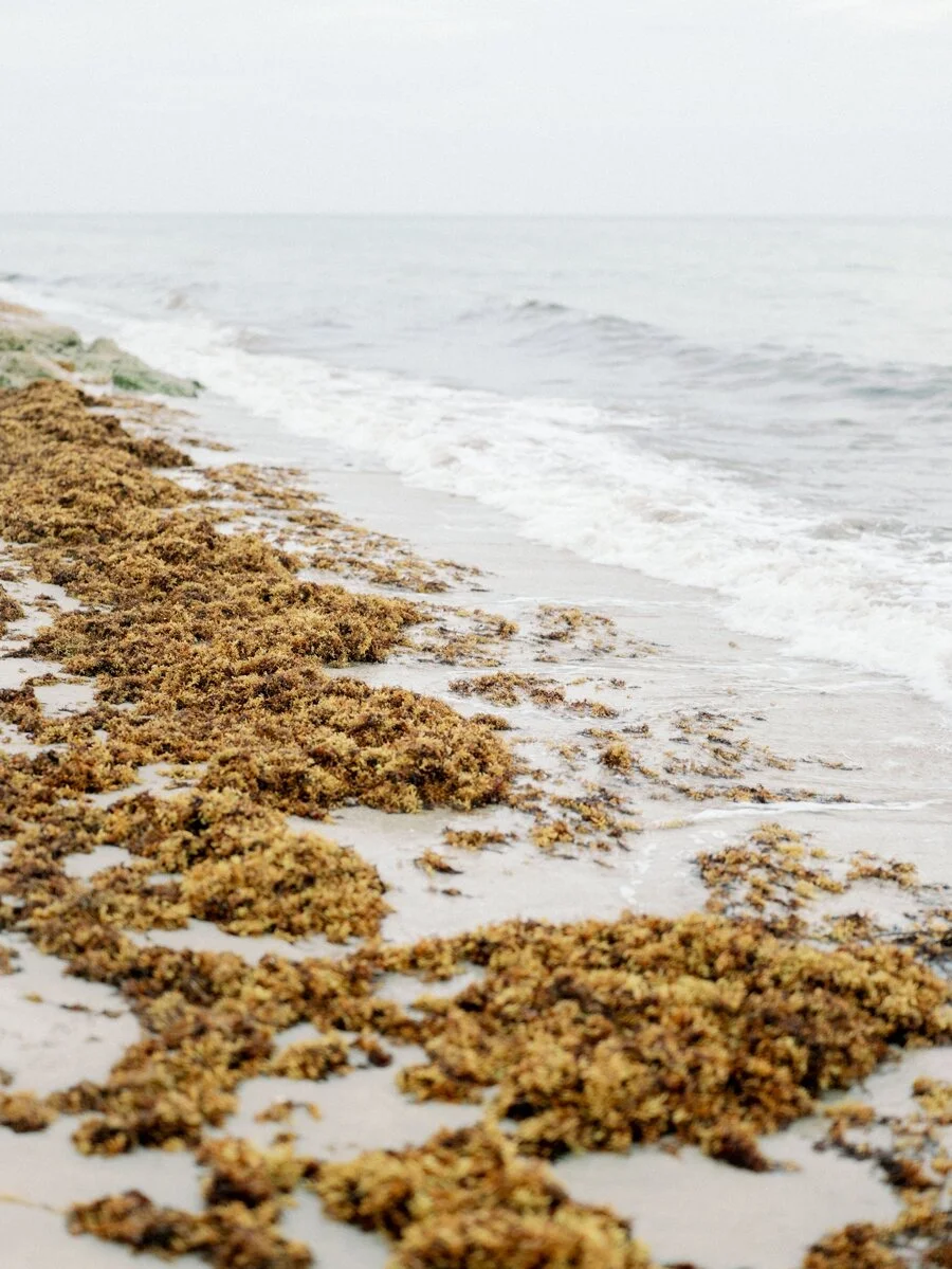 palm-beach-engagement-wedding-photographer-hunter-ryan-photo-dl_0717.jpg