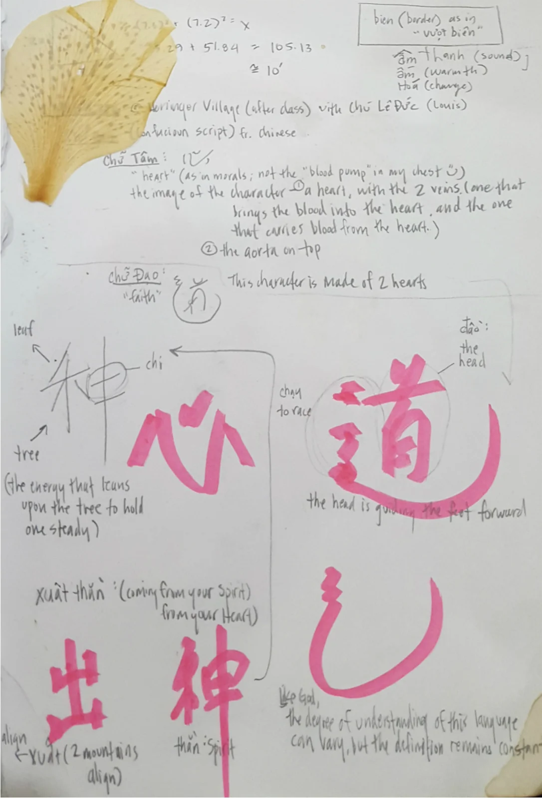 a peep of the sketchbook: CHÚ LÊ ĐỨC'S LESSON ON CHỮ HÁN. HIS CHARACTERS, DRAWN IN PINK, SURROUNDED BY MY COPIOUS NOTES. second character On the bottow row: "Spirit".