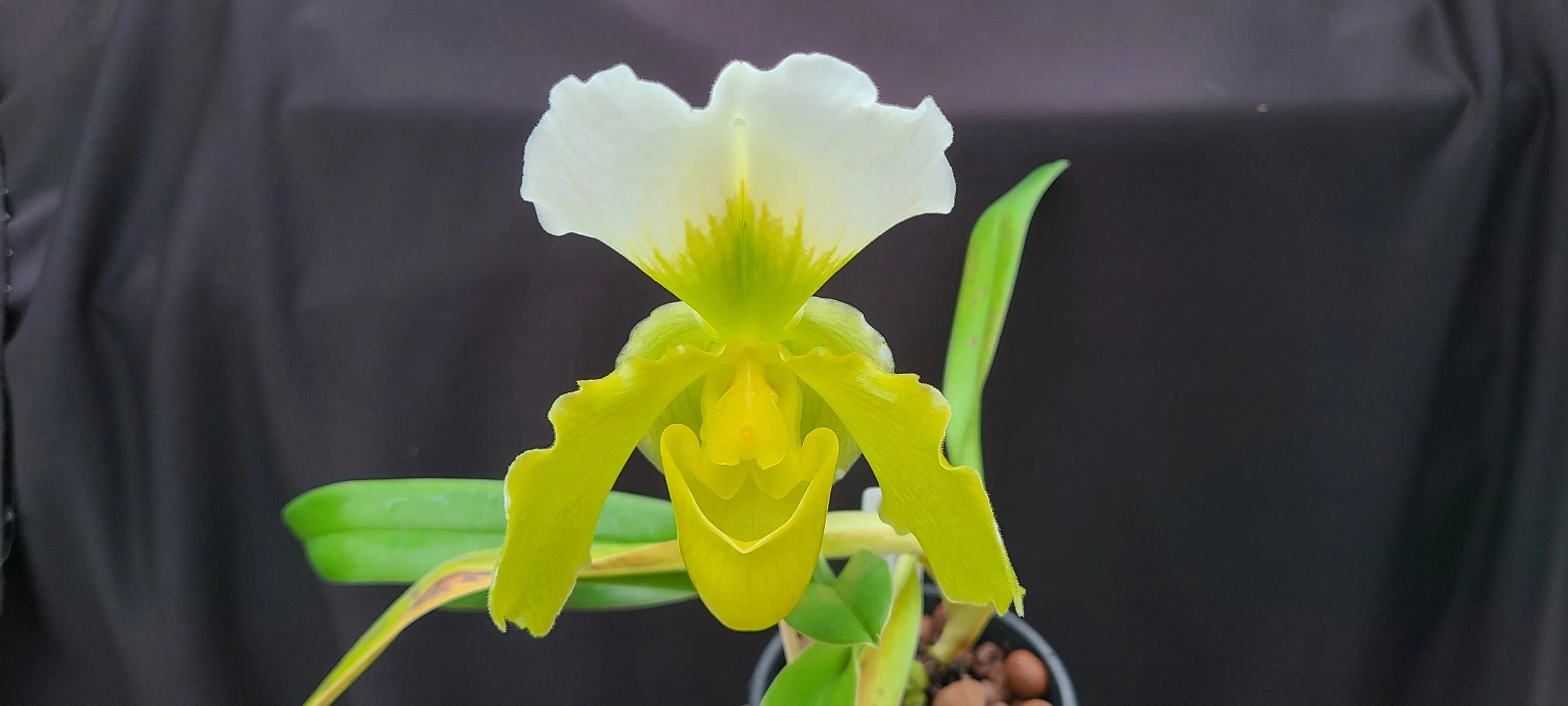 February Monthly Meeting