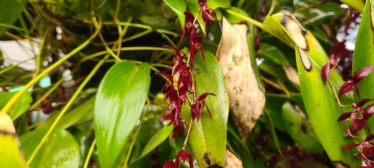 March Monthly Meeting