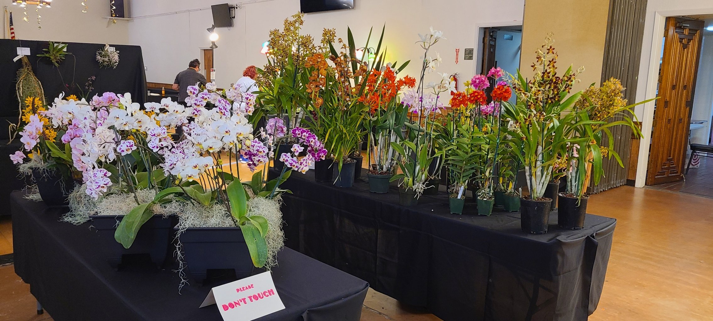 SOS 77th Annual Orchid Show &amp; Exotic Plant Sale