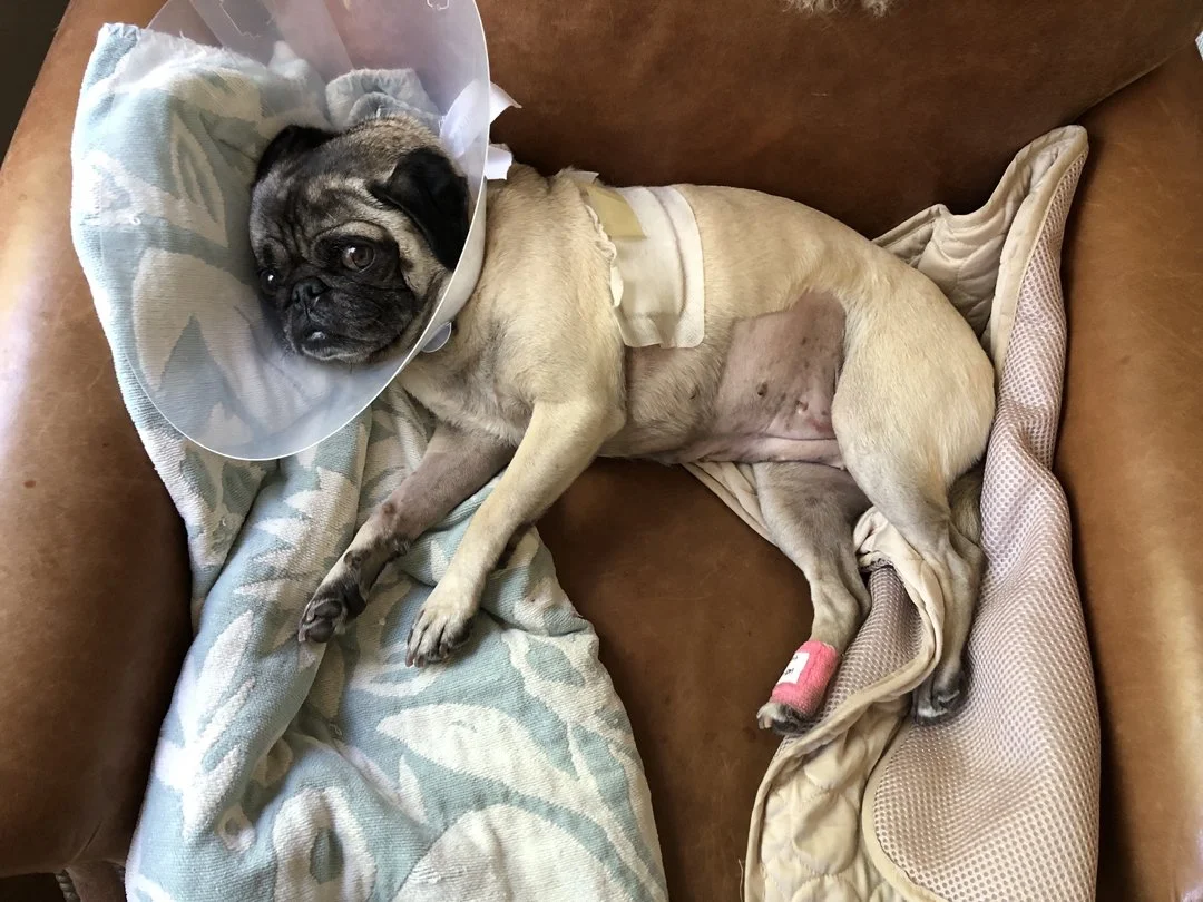 01_Resting pecefully - note fentanyl patch.jpg
