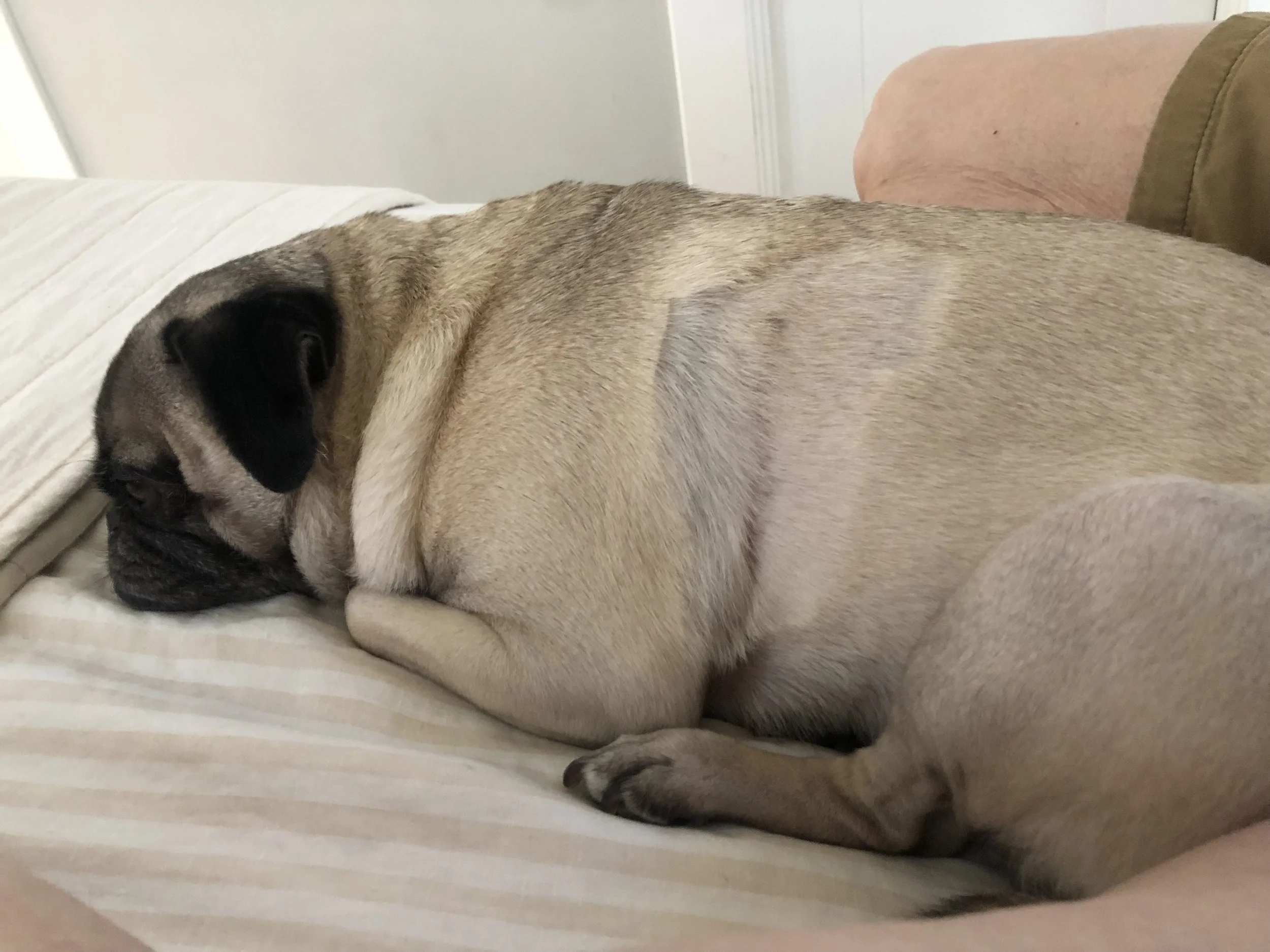 It takes a village! 🏡🌳🏠🌲🏘