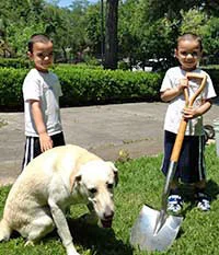 The twins and temple dog, Baku, help out in the garden.