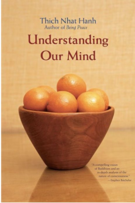 Understanding Our Mind