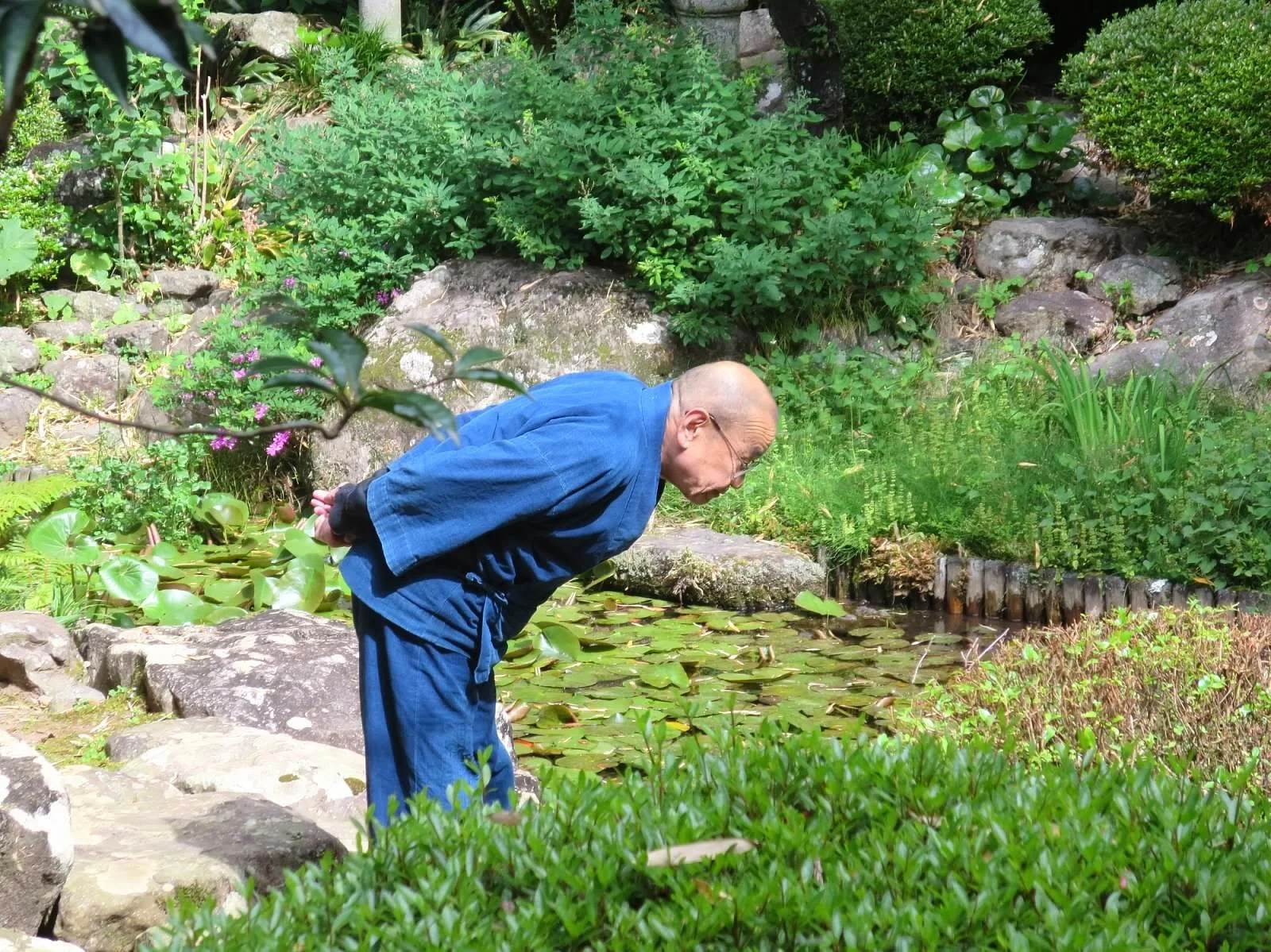 Hoitsu Roshi on the grounds of Rinso-In.