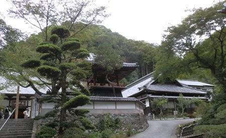 Rinso-In. 