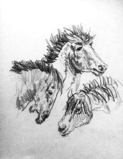 Horses_Final.jpg