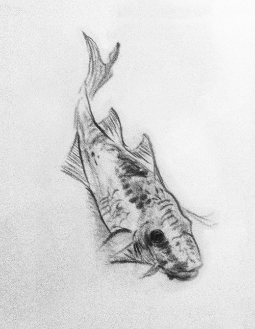 Fish_Final.jpg