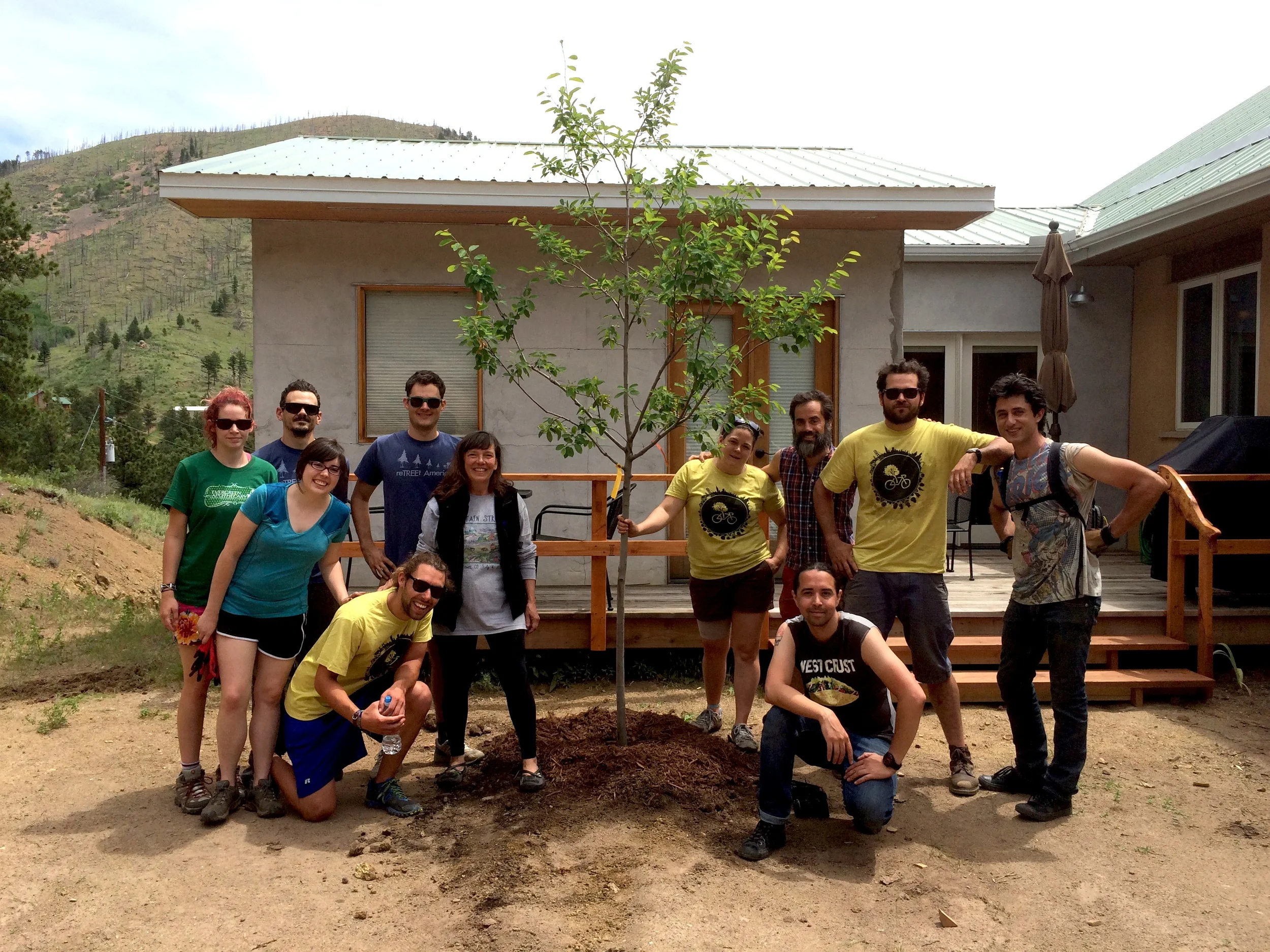 PLANTING THE LAST TREE IN JAMESTOWN