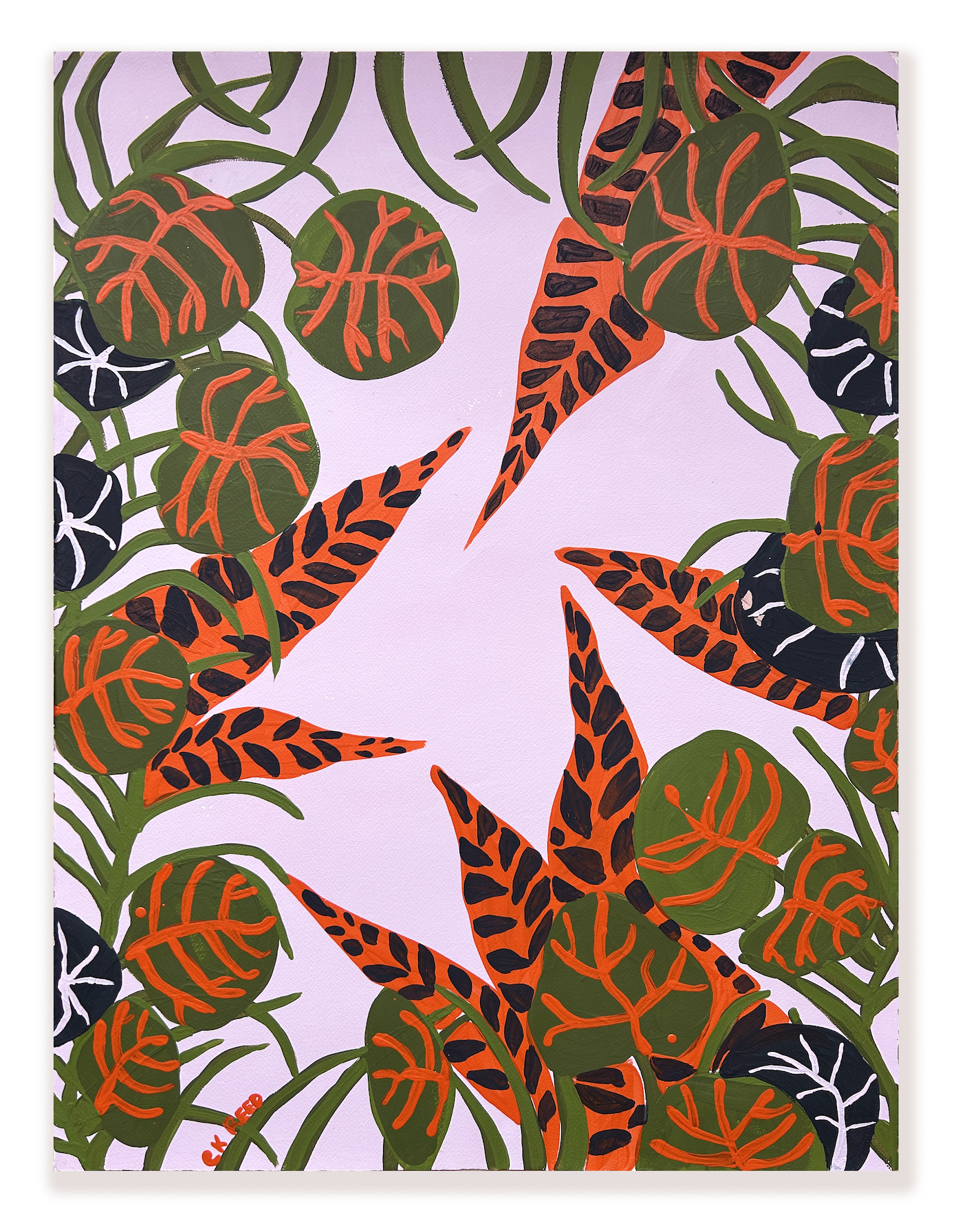 Miami Sea Grapes.png
