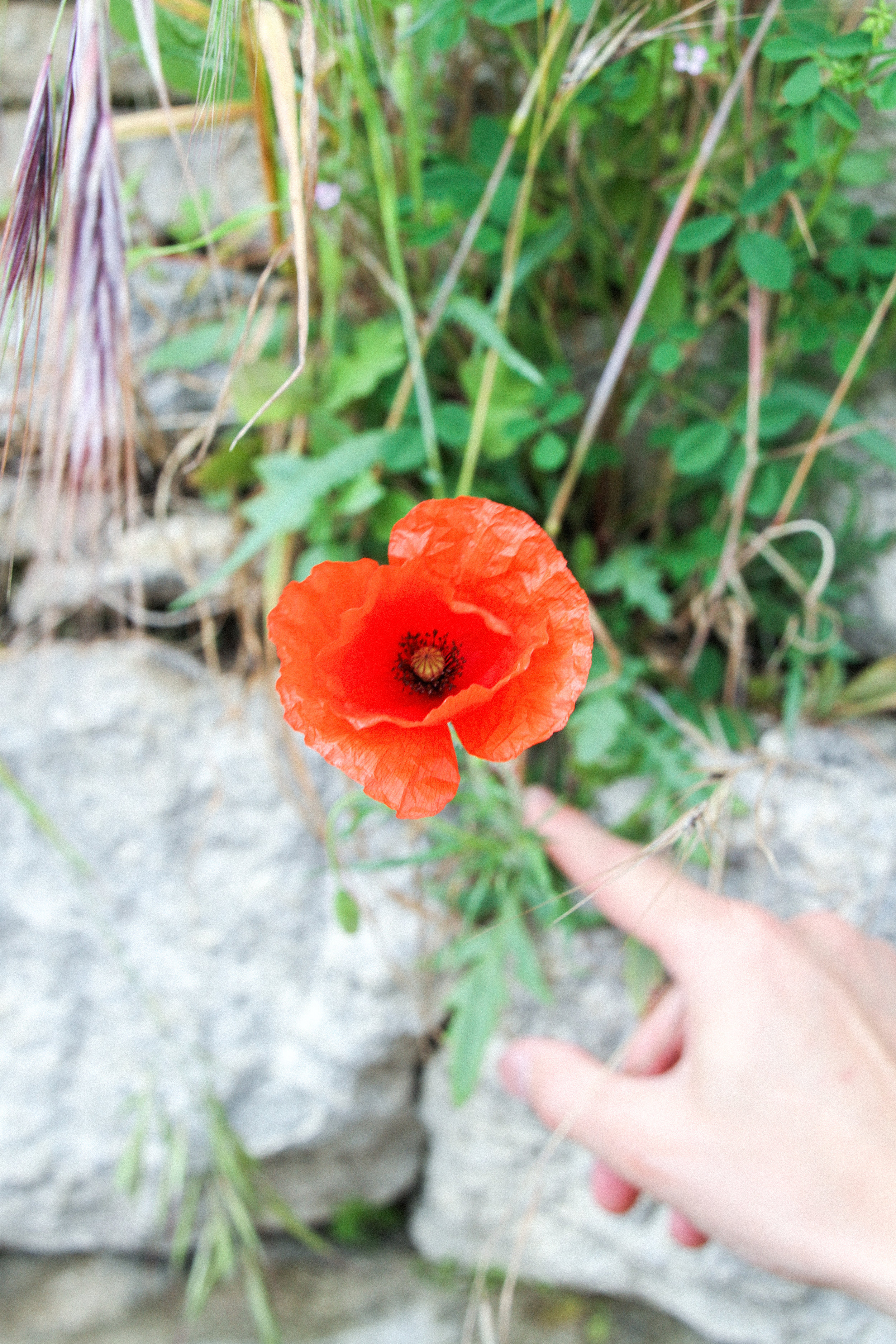 Letters Are Lovely | Southern France Part One