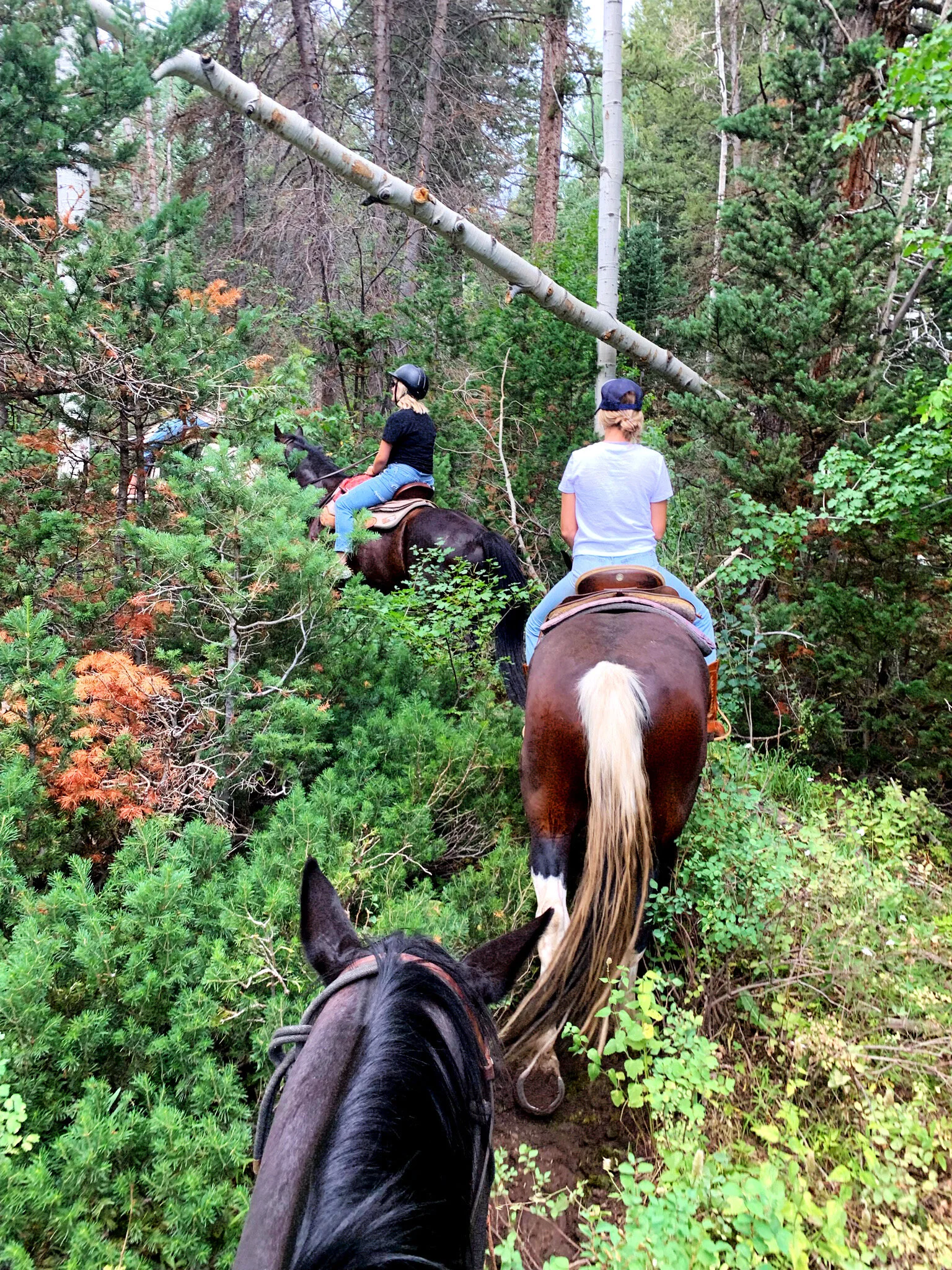 Laura’s Last Rodeo! — LETTERS ARE LOVELY