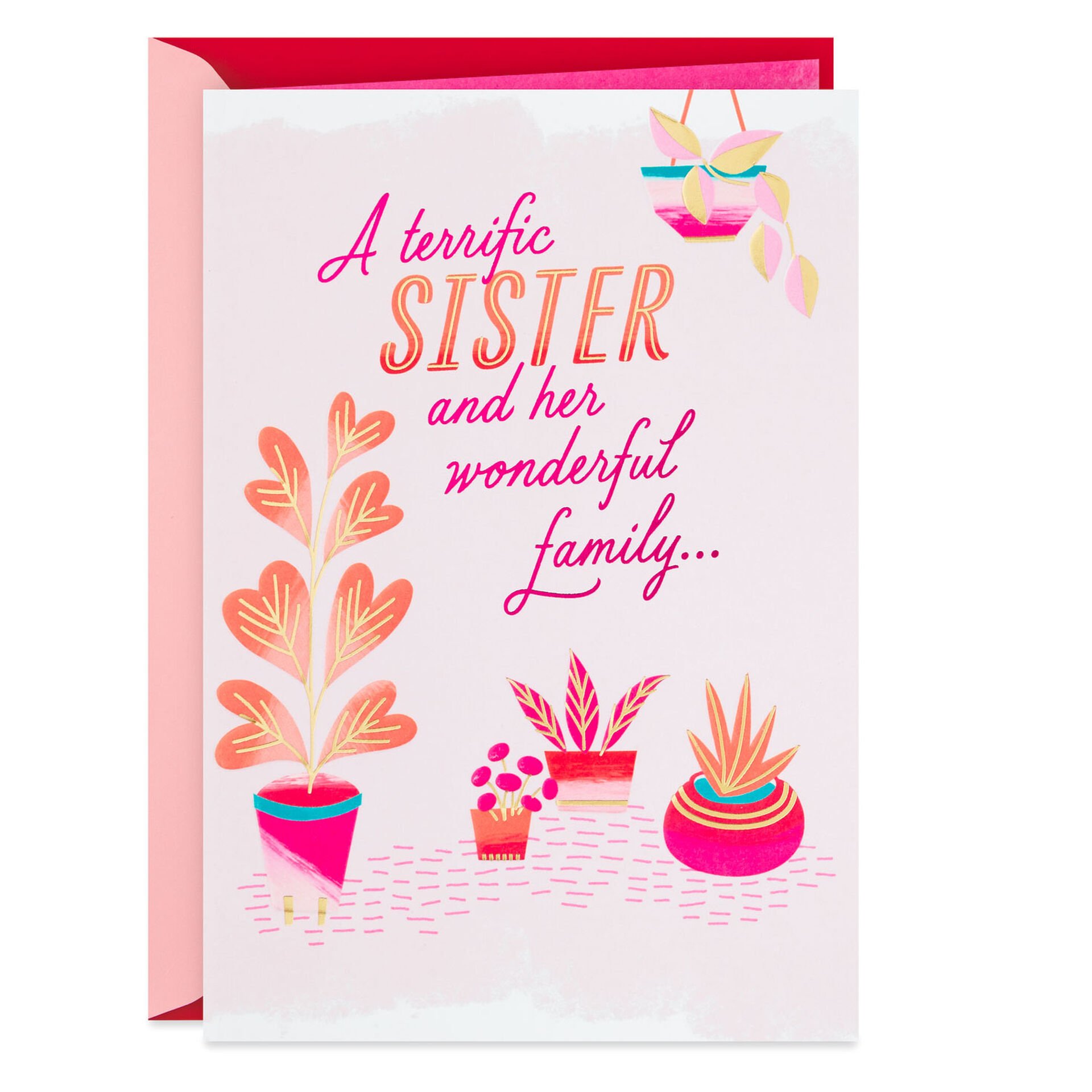 Potted-Plants-Valentines-Day-Card-for-Sister-&-Family_299VEE8823_01.jpeg