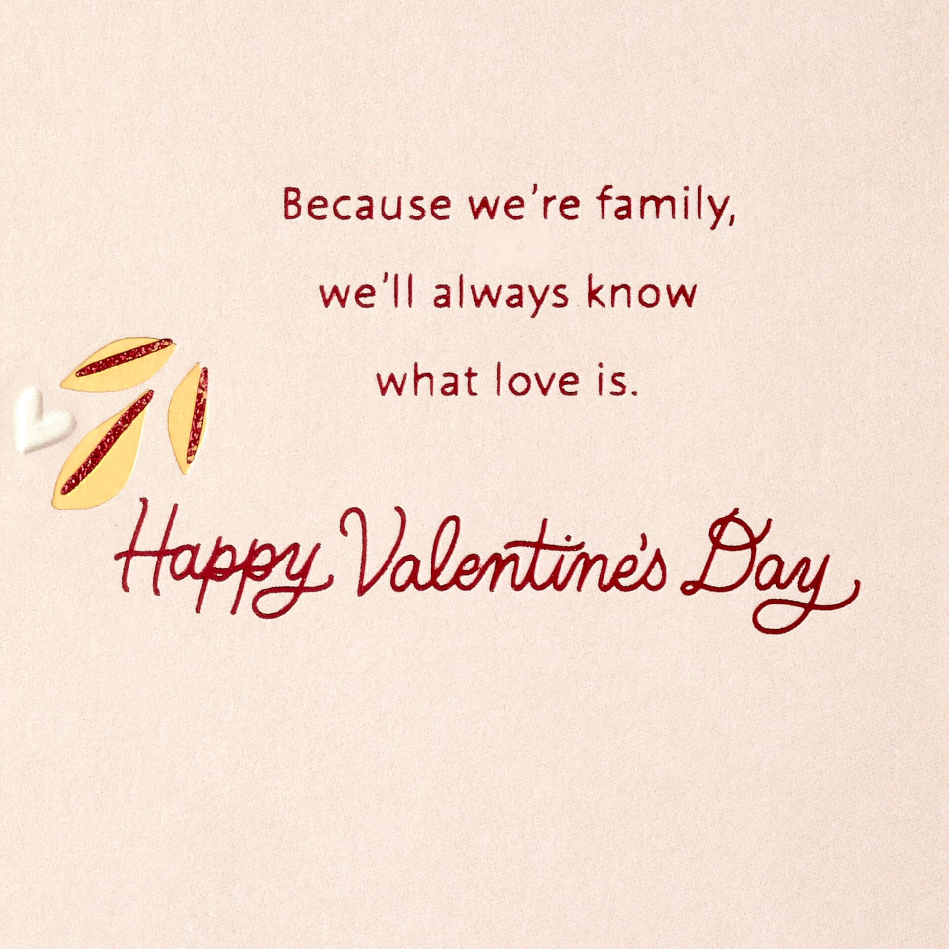 Letters-and-Flowers-Valentines-Day-Card-for-Family_499VEE7773_03.jpeg