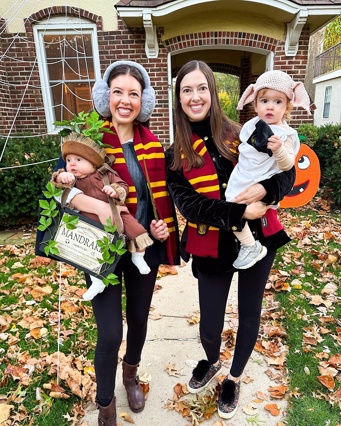Halloween Memories with our Dobby and cousin Winnie the Mandrake 🎃
