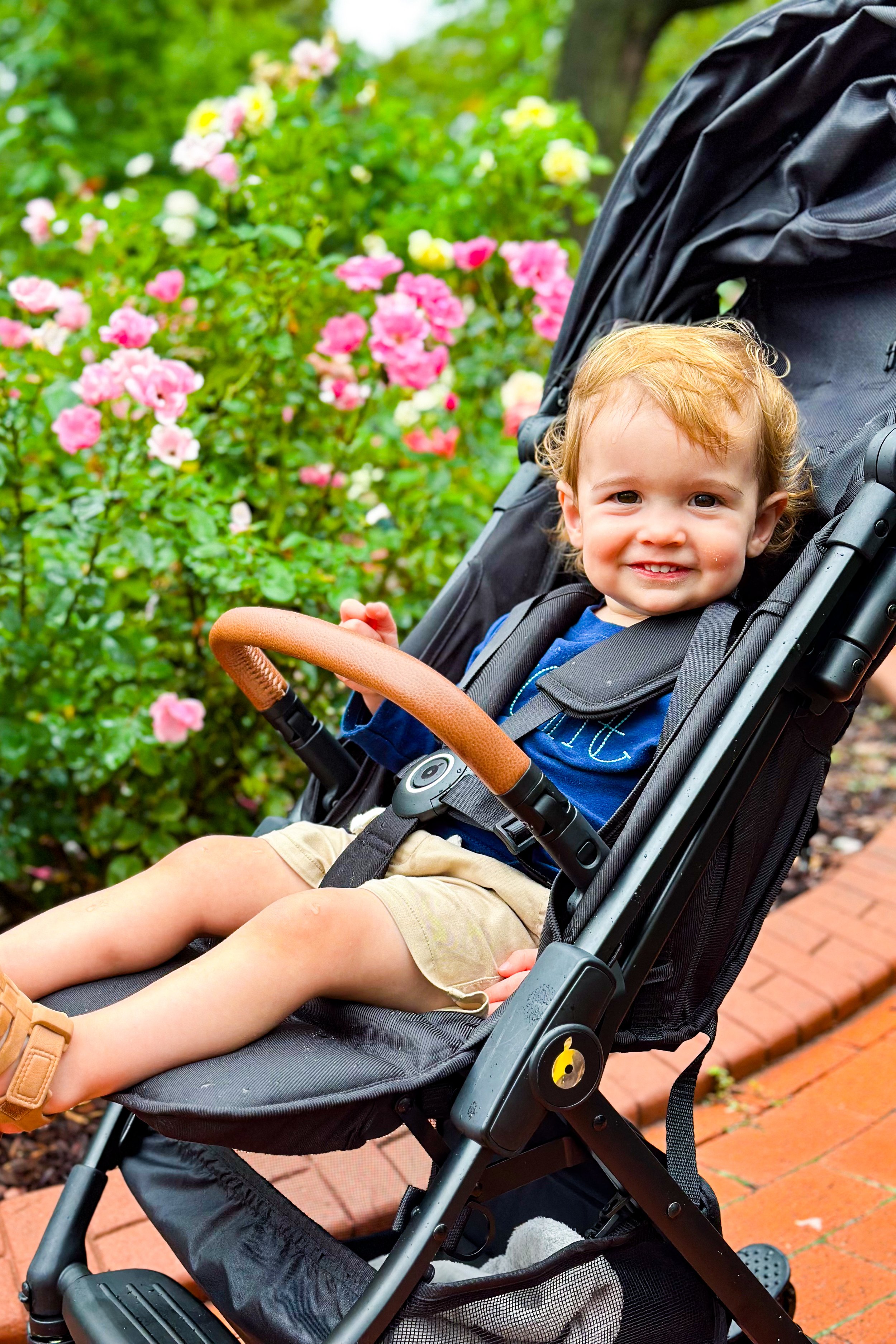 Grant: One Year Old Memories
