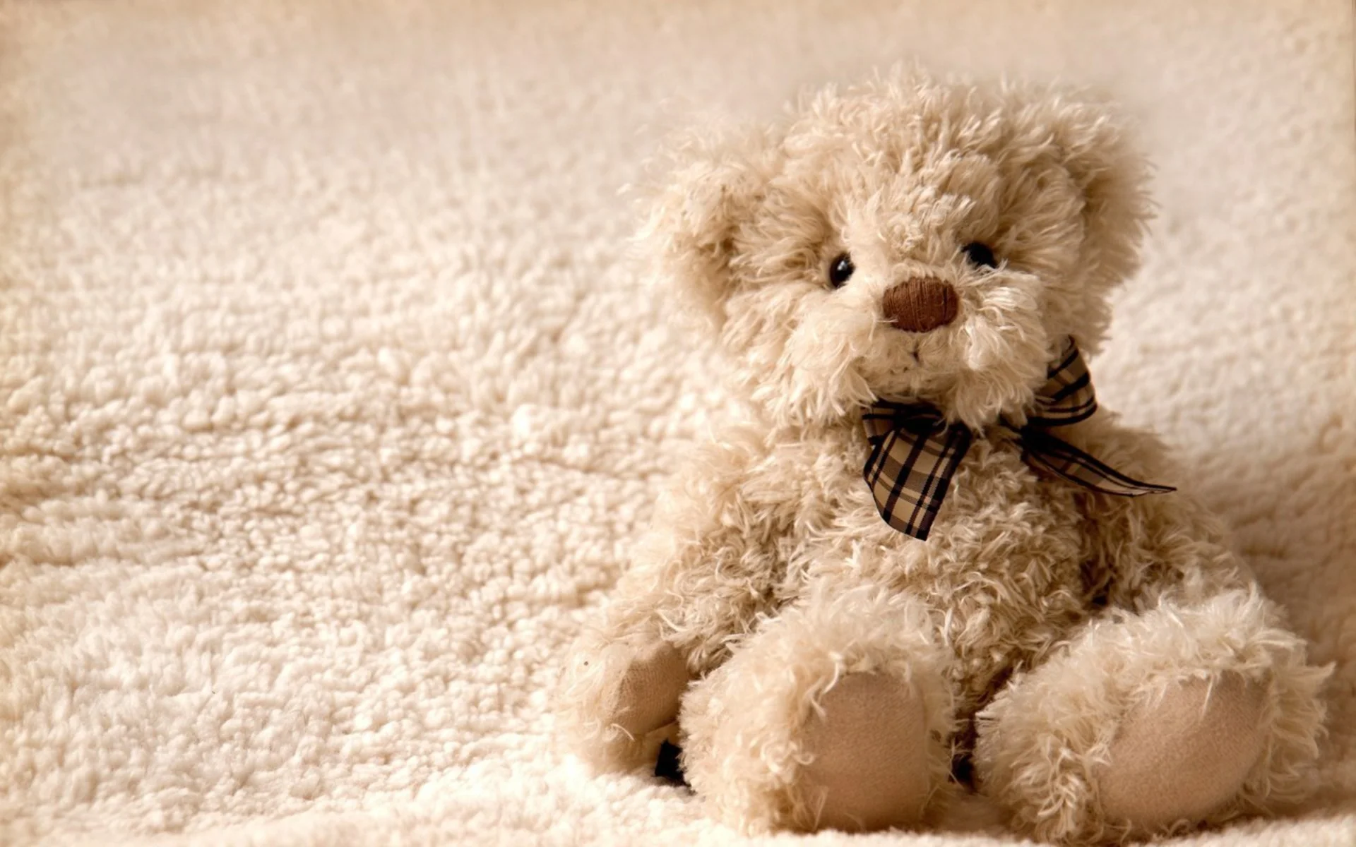 Teddy-bear-Wallpapers.jpg