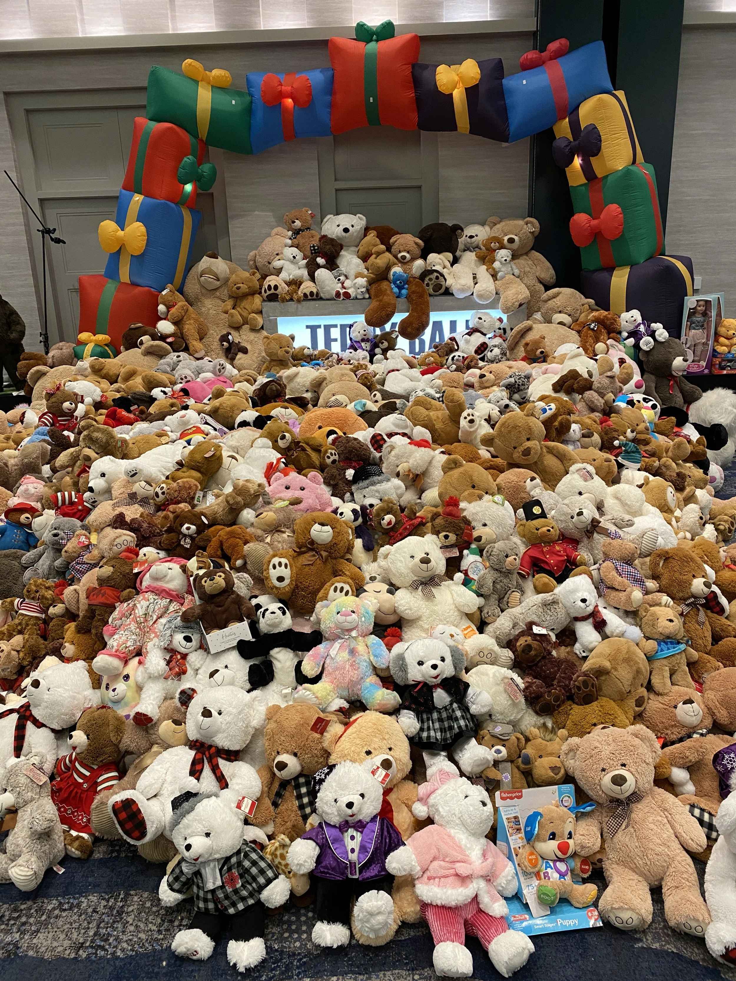 Collection of Teddy Bears.JPG