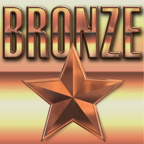 BRONZE+Sponsor+SQ.jpg