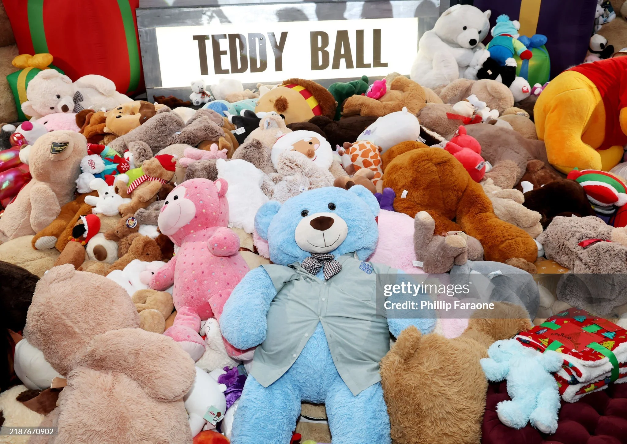 Getty Images Teddy Ball 2024 - Teddy Pitt.jpg