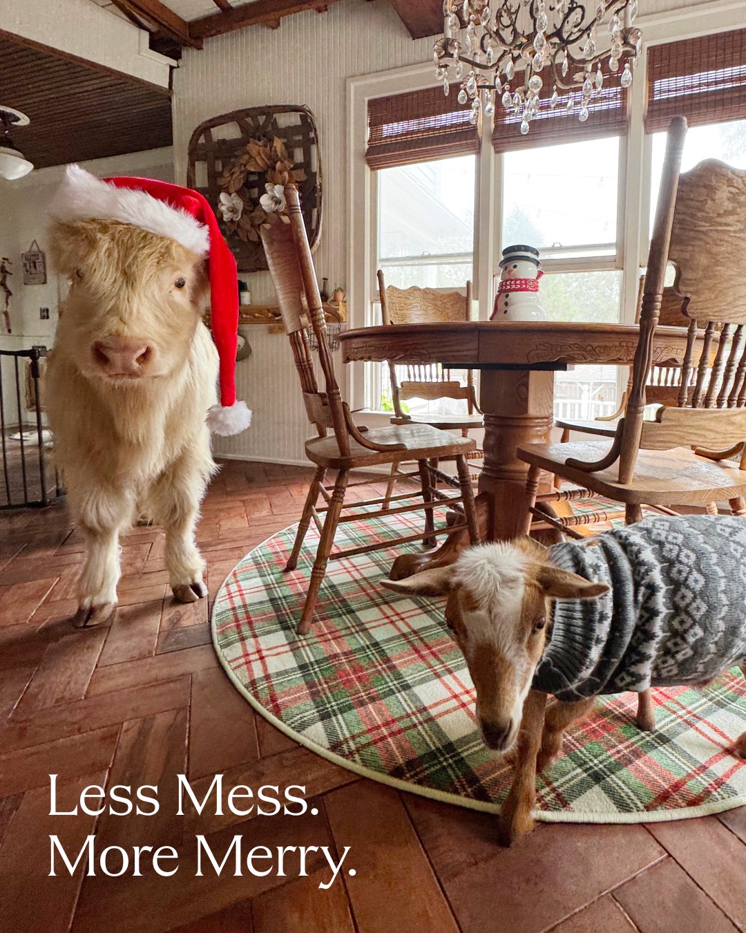 ACQ-FB-Holiday Shop-New IPP Holiday Statics-US-EH-3-Final.jpg