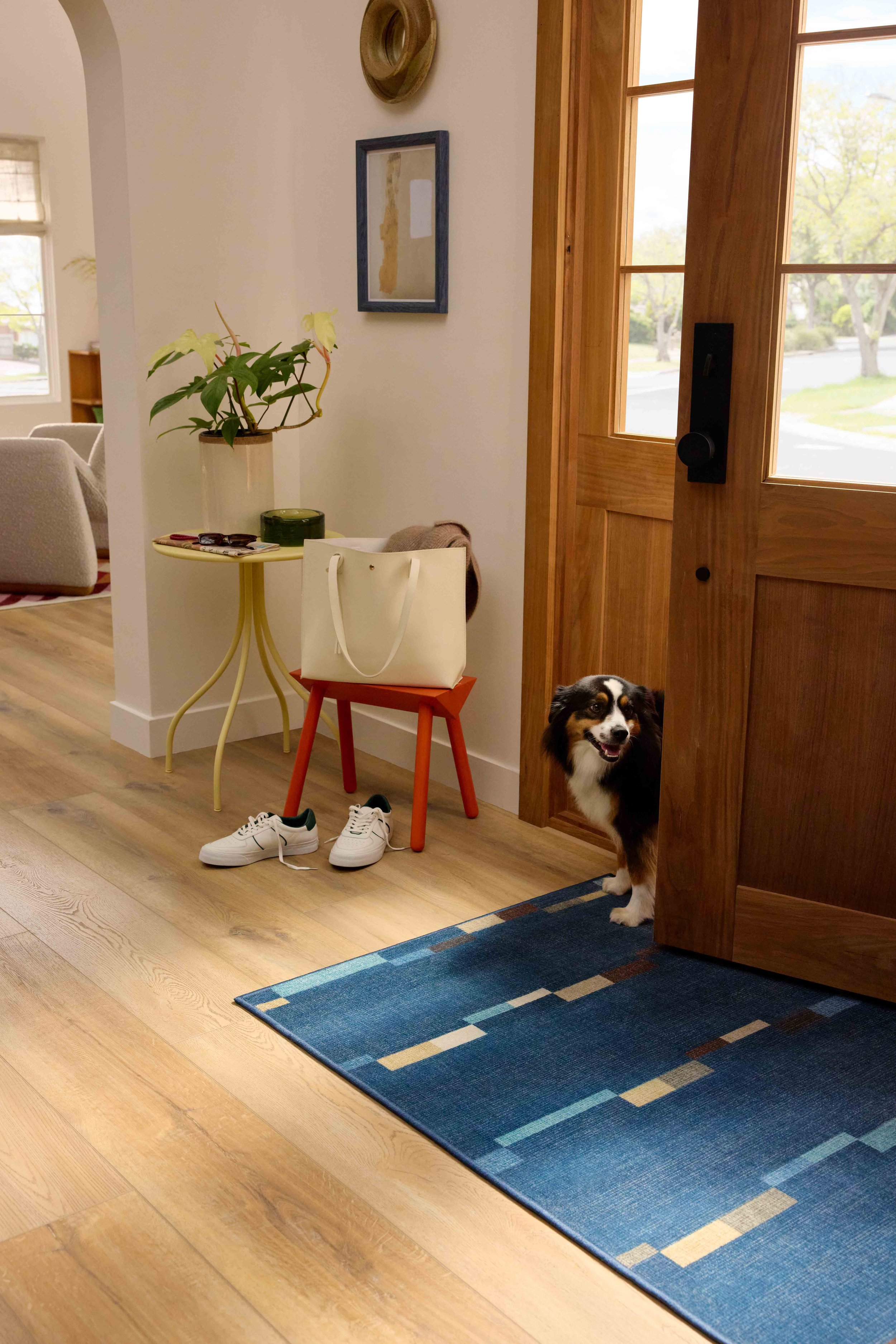 ROOM S-2602MODE-ENT-0279_OVERHEAD ENTRY WITH DOG.jpg