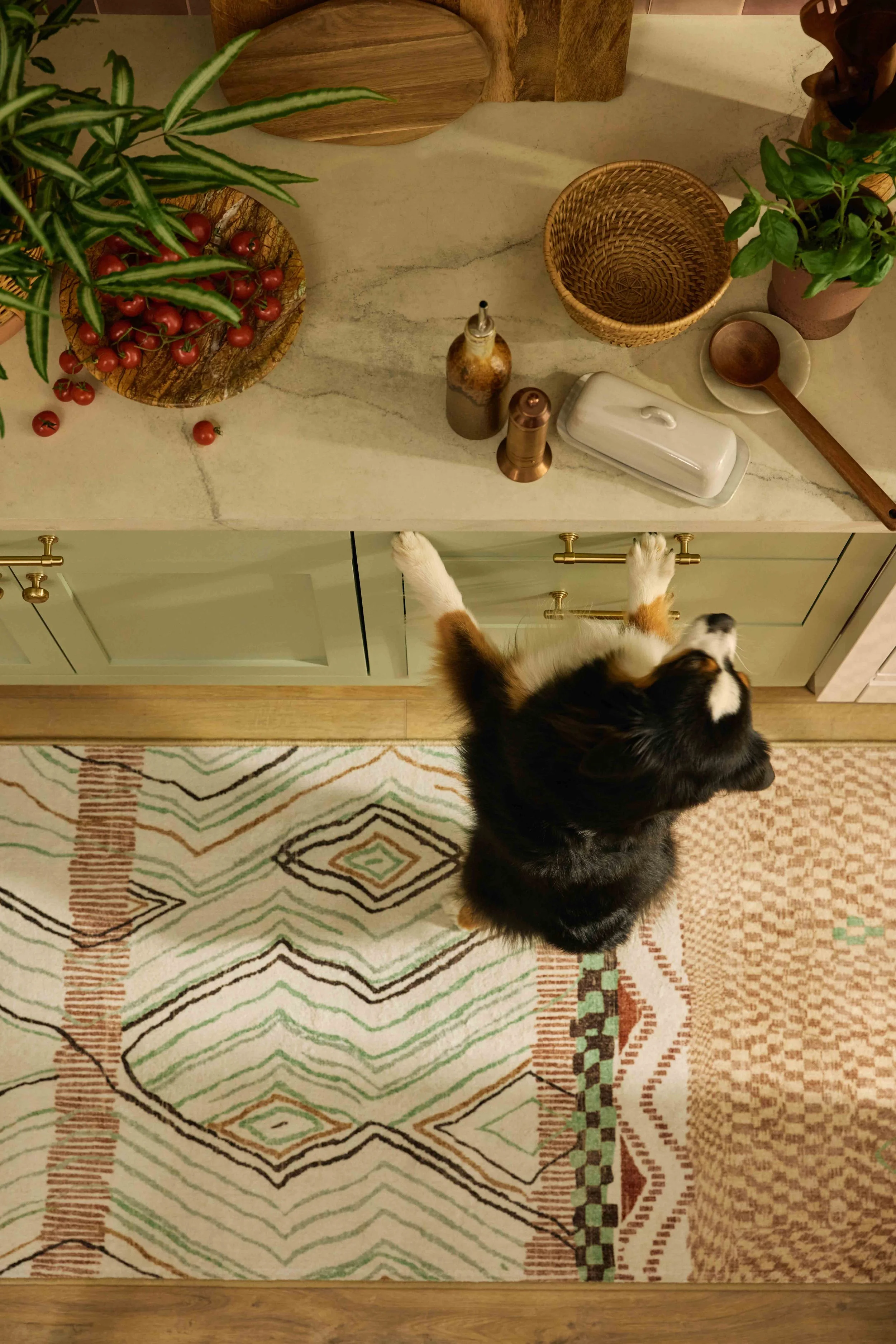 251209BOHO_1887_KIT WOMAN & DOG.jpg