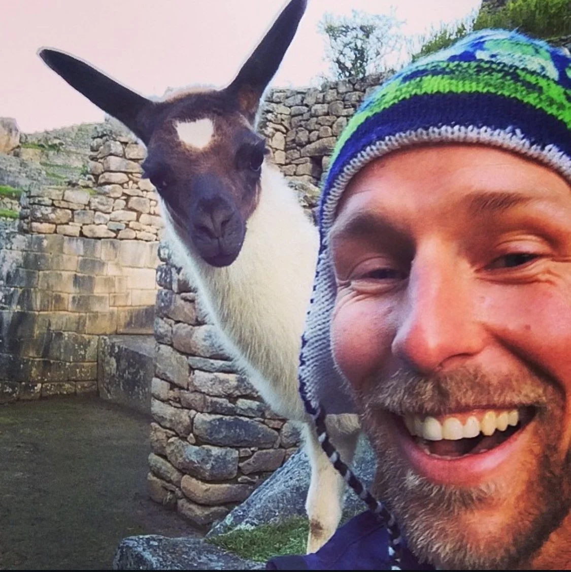 BWL with Llama.jpg