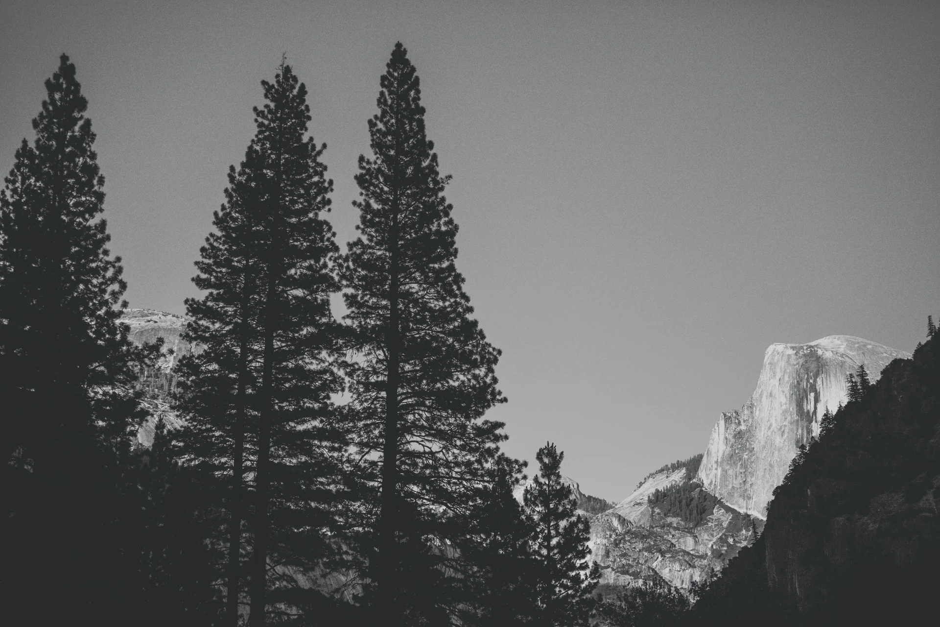 OR_Folio_2015_032.jpg