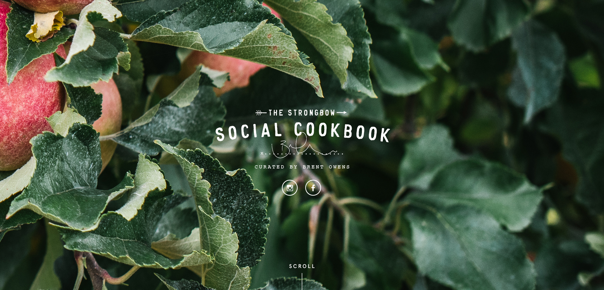 TheSocialCookbook_HeroBanner_2500x1200px_01.jpg