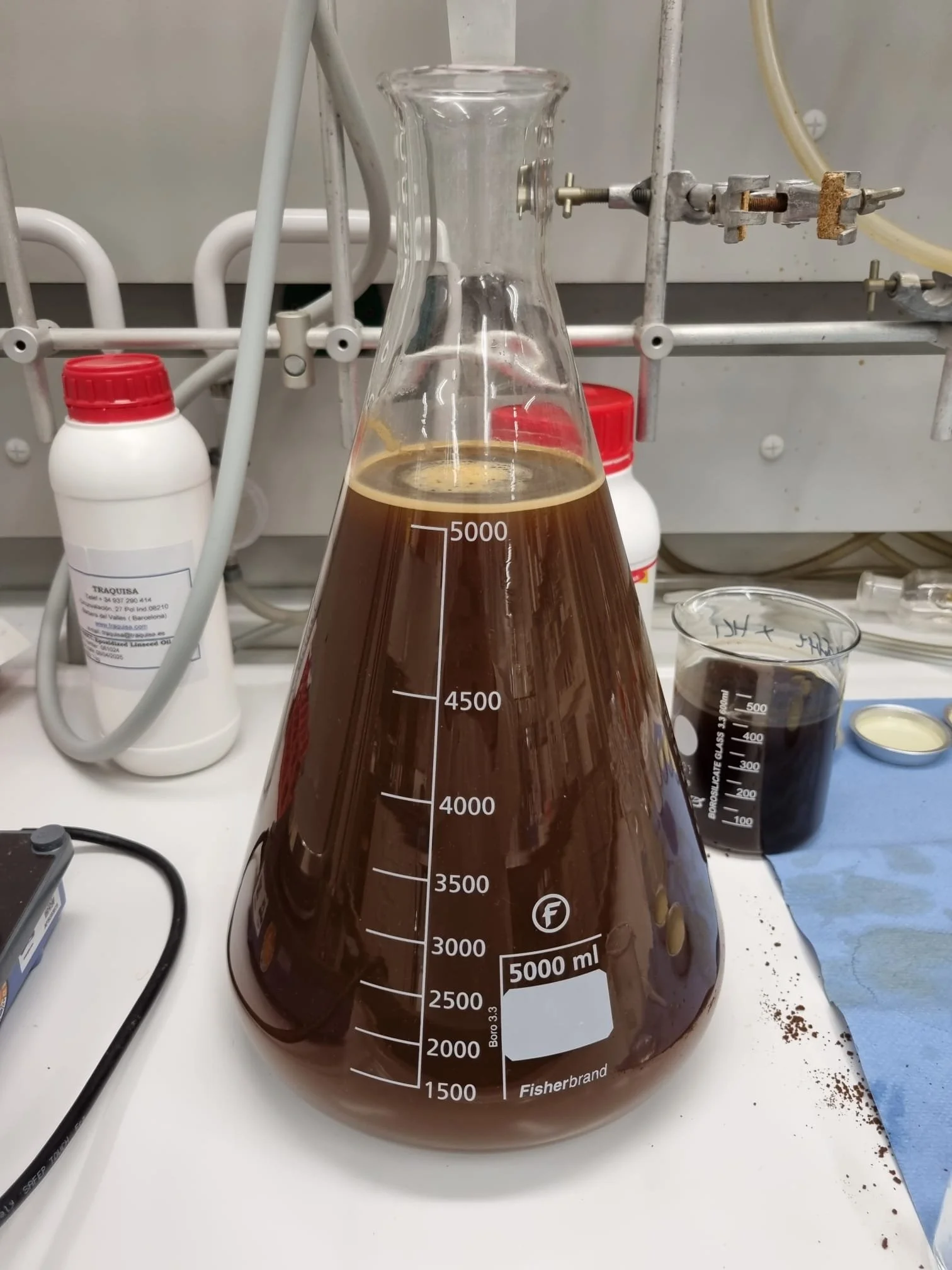 WhatsApp Image 2024-11-14 at 08.41.17 (5).jpeg