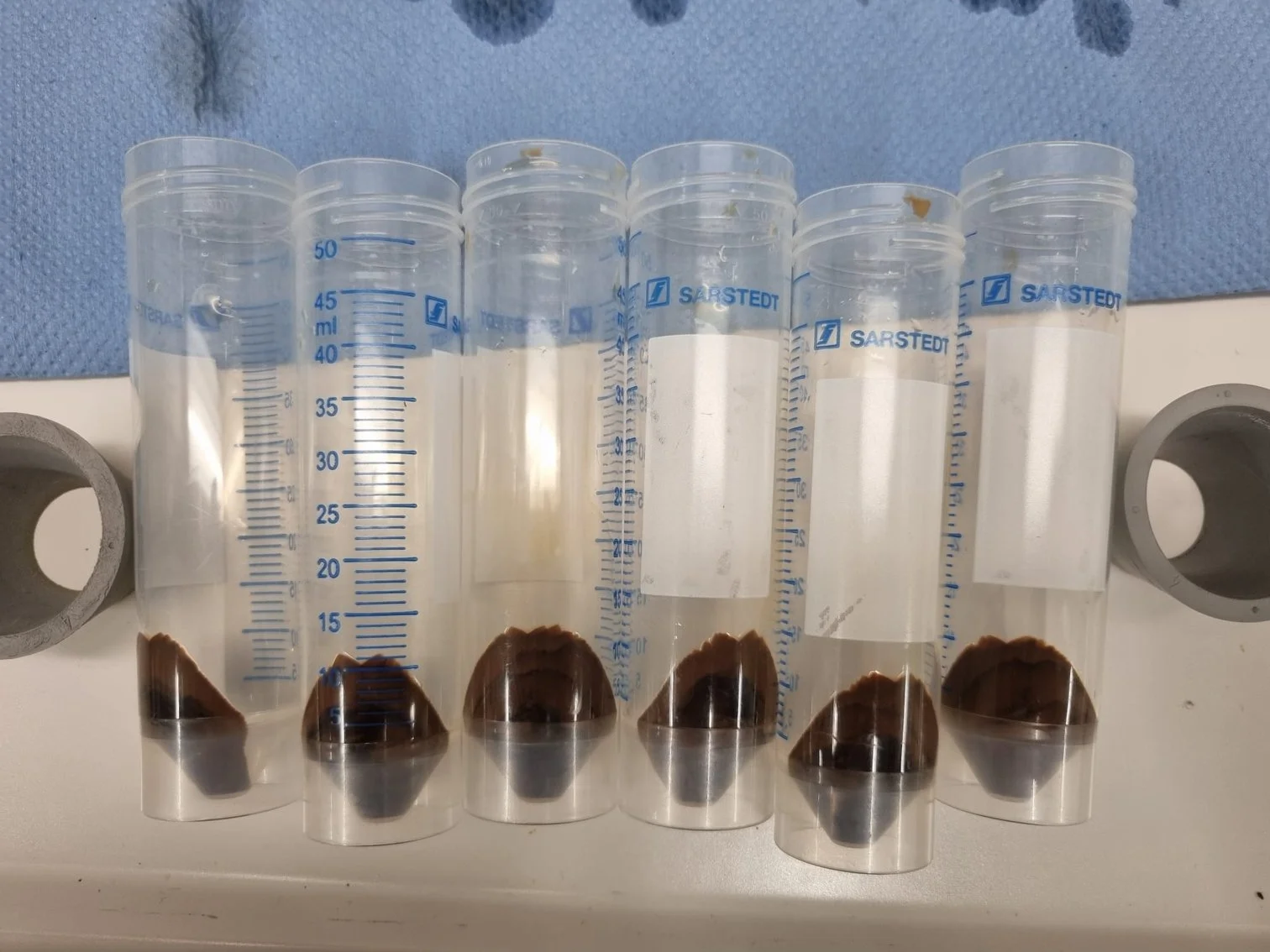 WhatsApp Image 2024-11-14 at 08.41.17 (1).jpeg