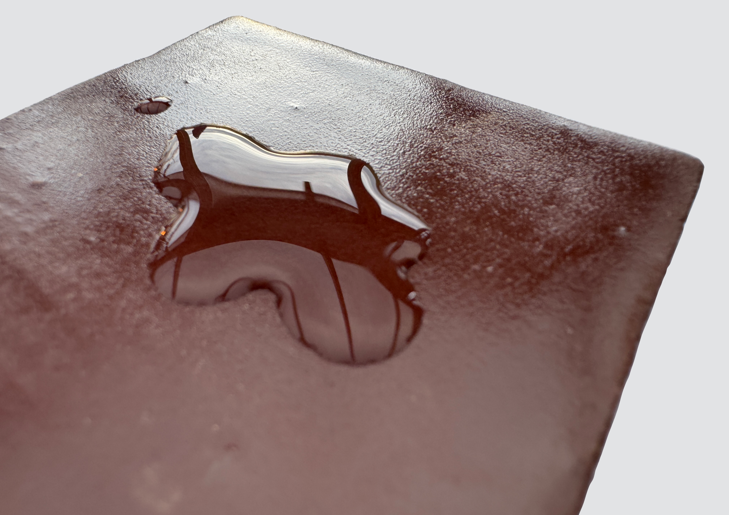 TERRA_TORY_IOBC 1.png