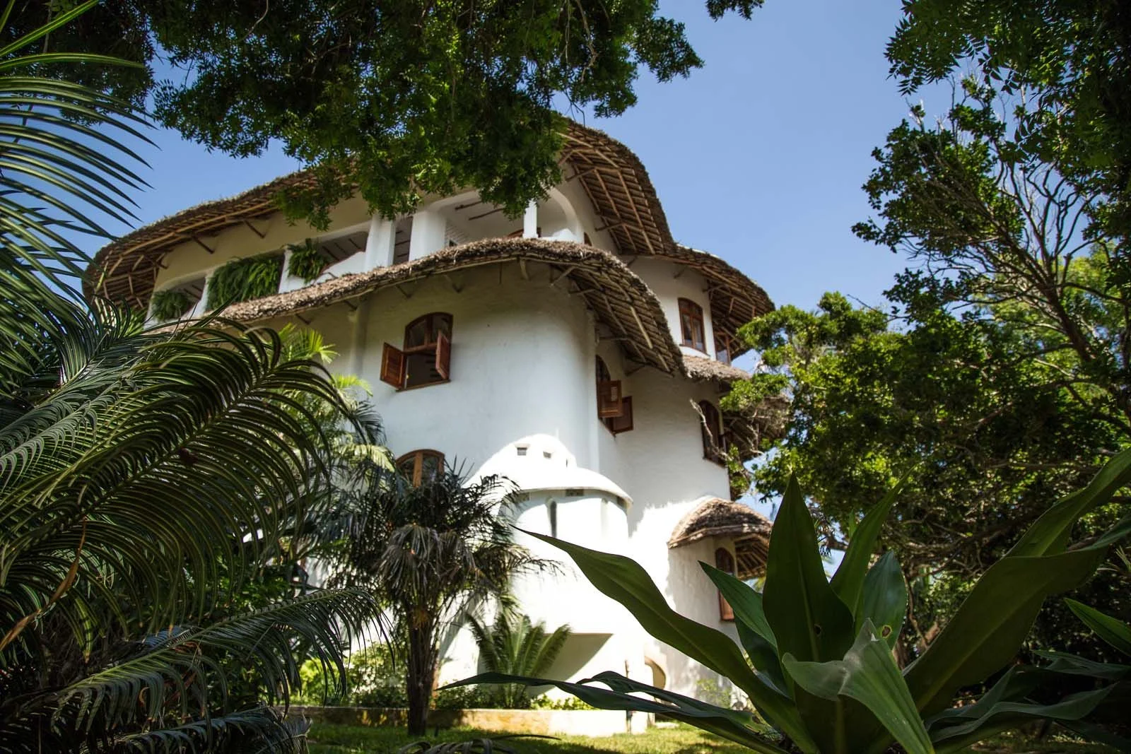 shwari-watamu-garden-8-01d724055c.jpg