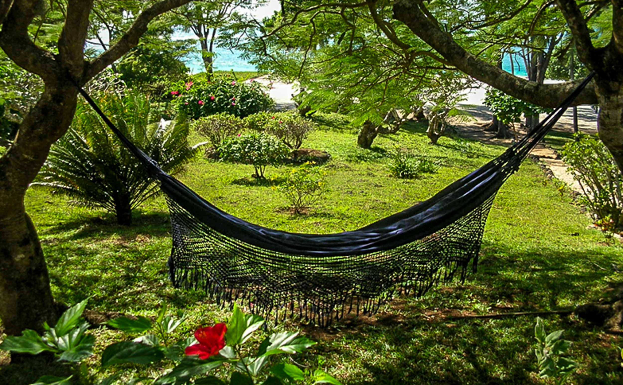 hammock.jpg