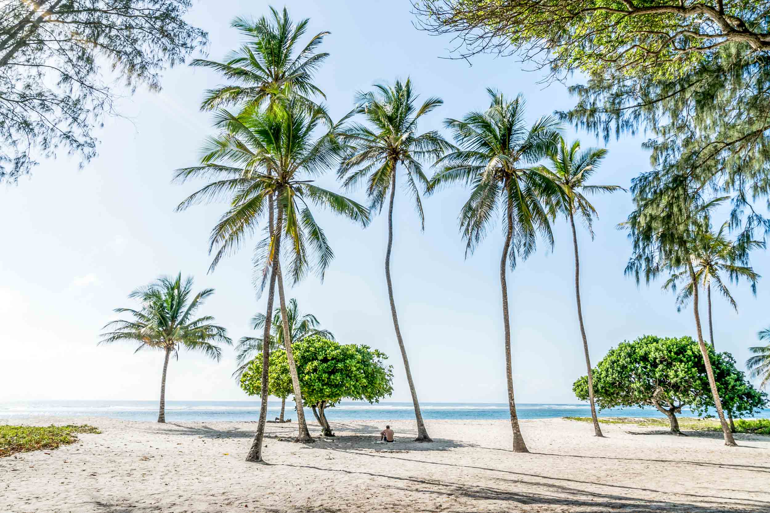 Tiwi front yard Ohanesian  copy.jpg