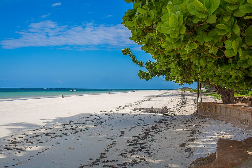 Beach - looking south.jpg