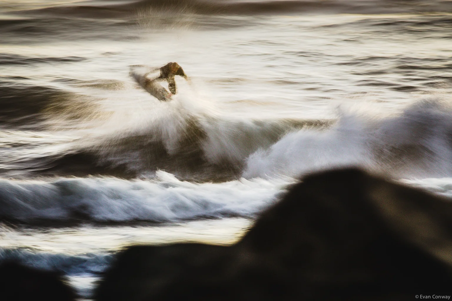Evan_Conway_California_Action_Fall20135.jpg