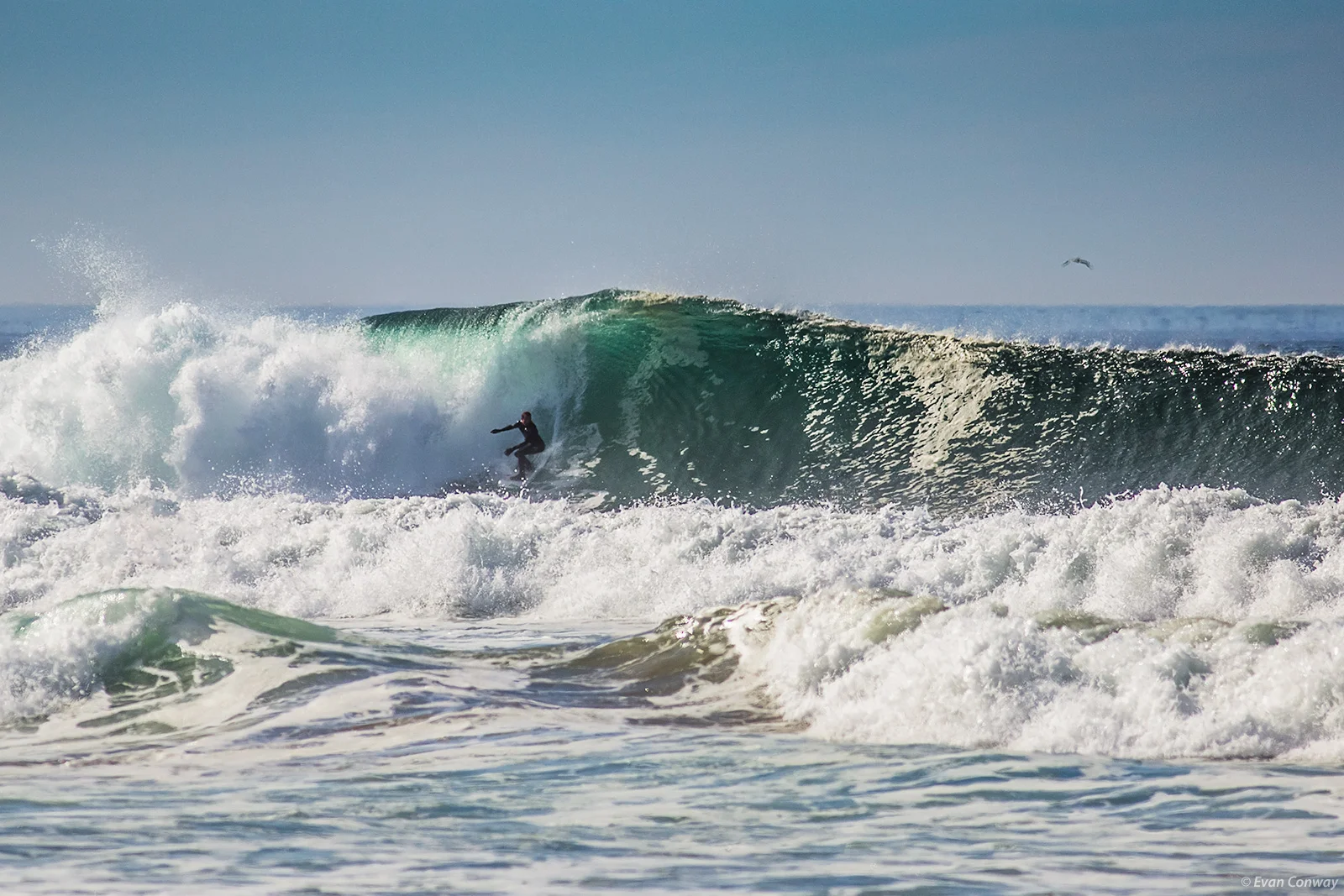 Big_sur_conway_-9546-Edit.jpg
