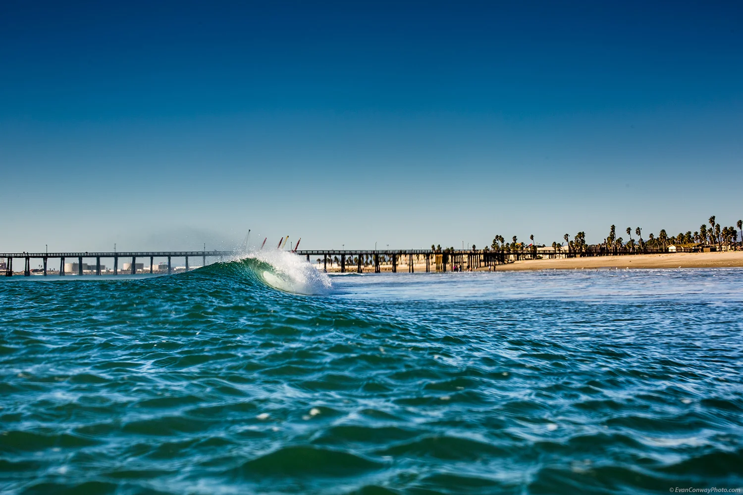 Strand_Conway-6743-Edit_Web.jpg