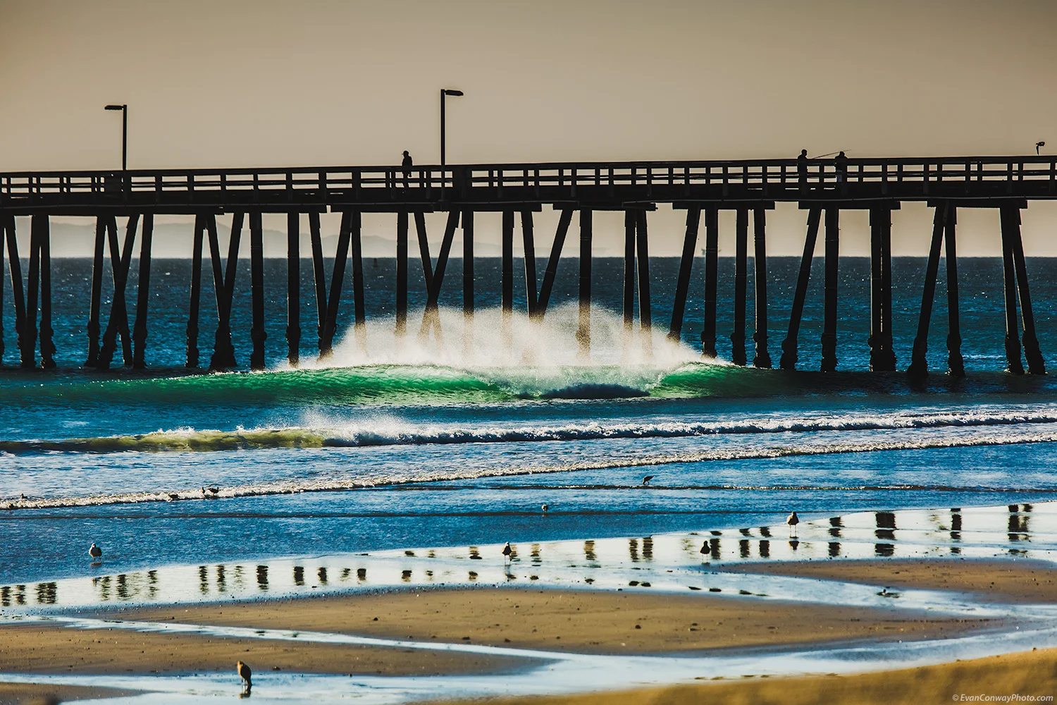 Strand_Conway-7042-Edit_Web.jpg