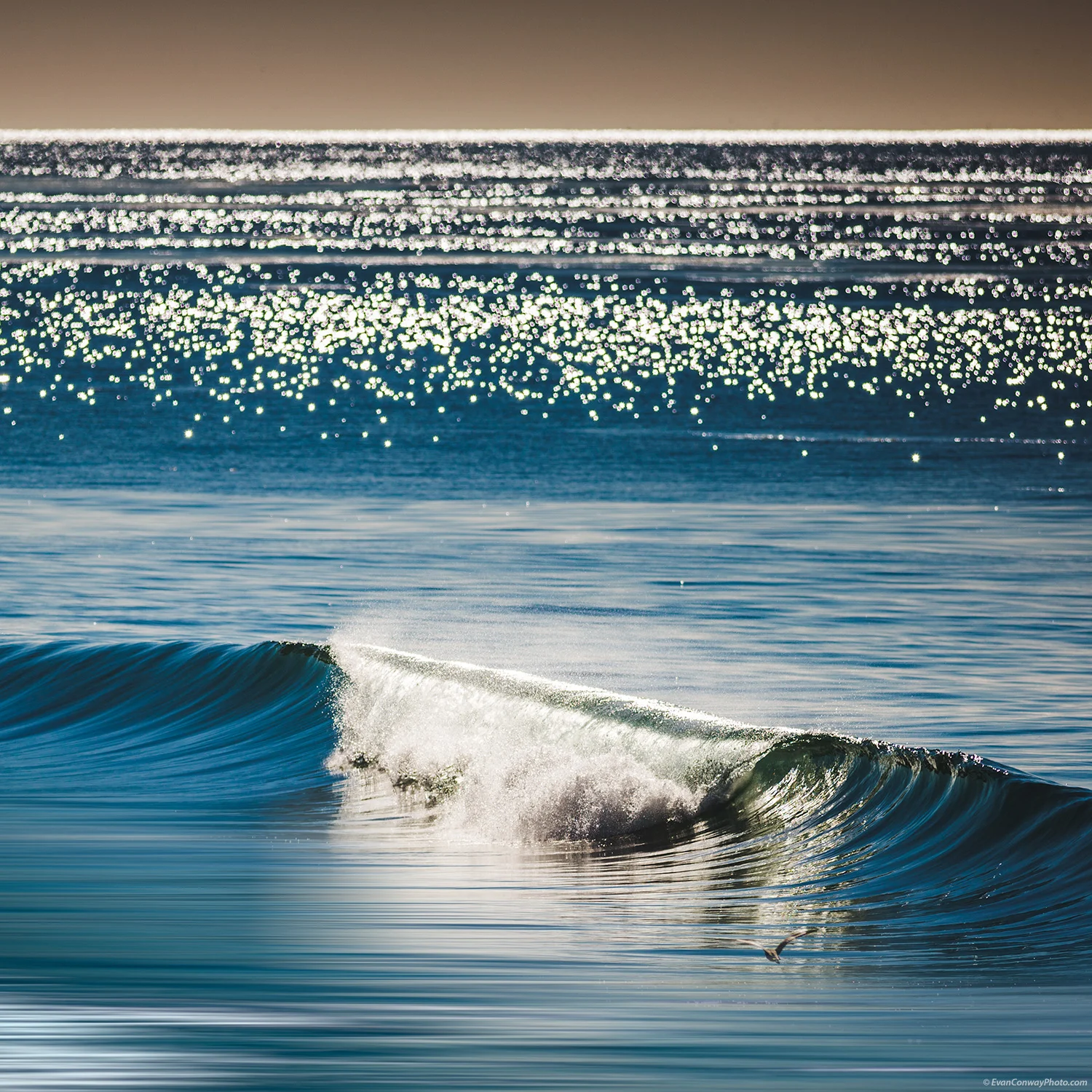 California-9073-2-Edit.jpg
