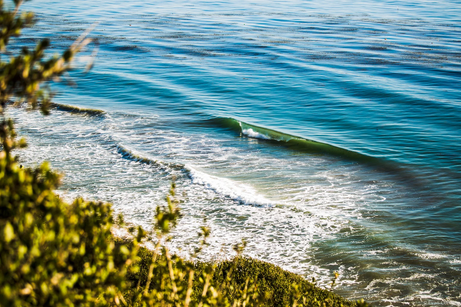 Evan_Conway_California_Colors_Fall201320.jpg