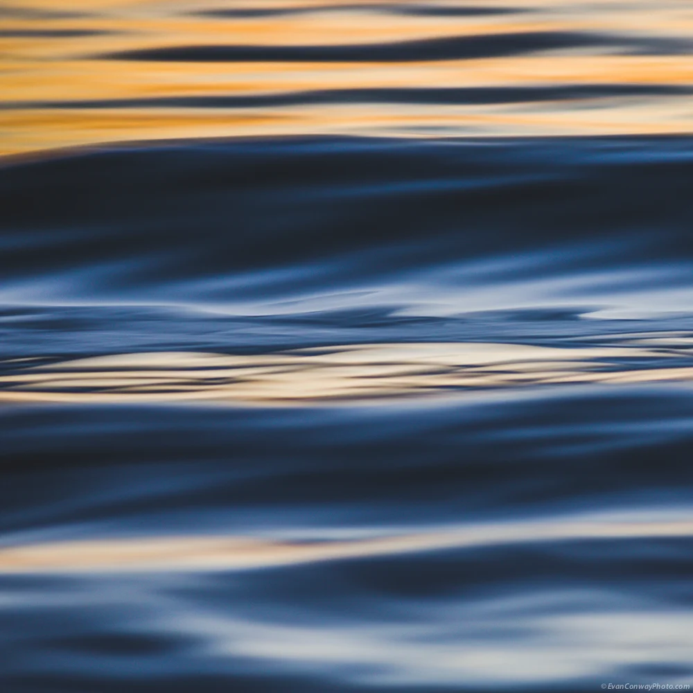 Conway_California_verticals_118.jpg