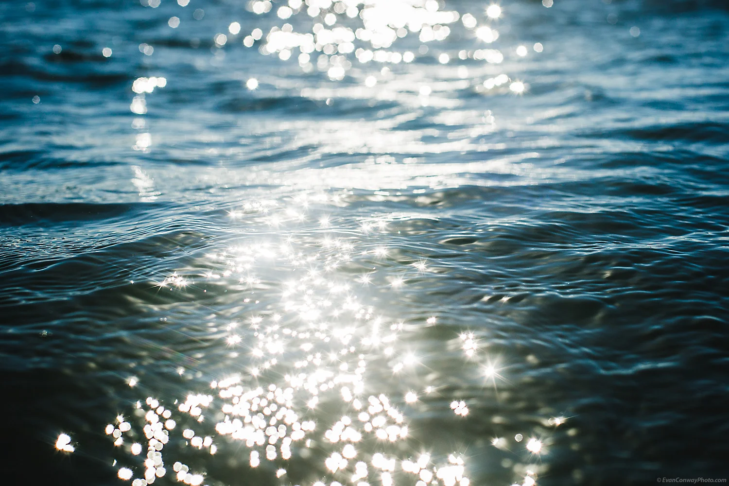 Strand_Conway-6880-Edit.jpg
