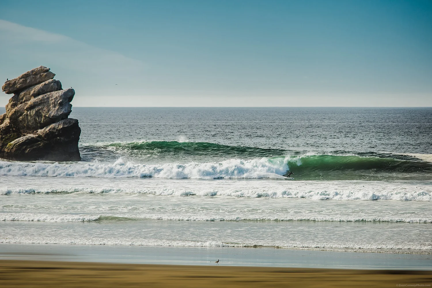 Big_sur_conway_-0109-Edit_1500_Web.jpg