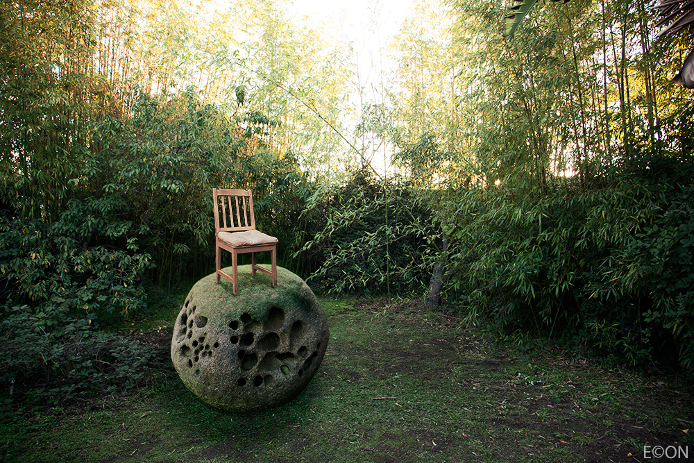 CannonBackyard_edit.jpg