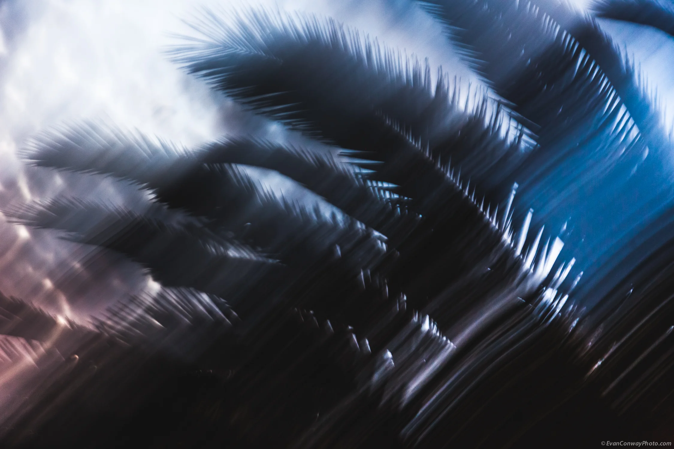 Conway_California_Blurs3.jpg