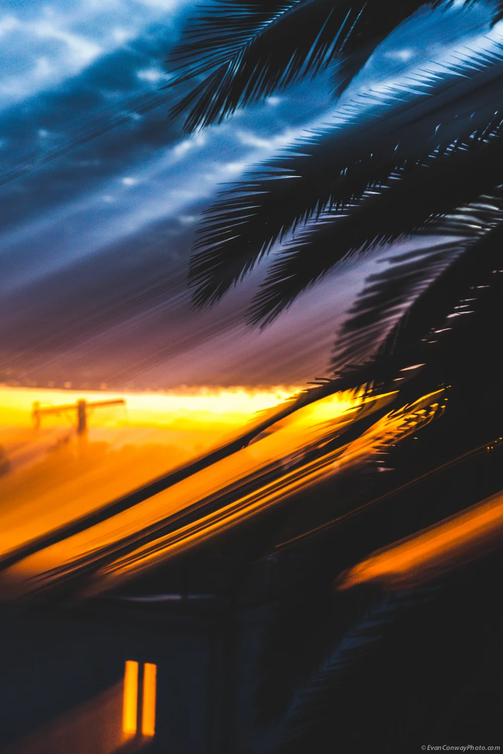 Conway_California_Blurs5.jpg